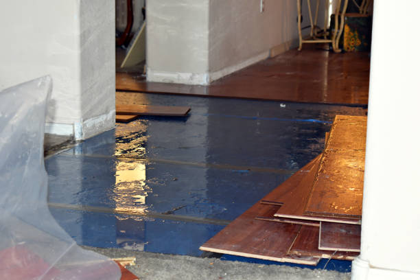 Professional Water Damage Repair technician working in Albion, PA